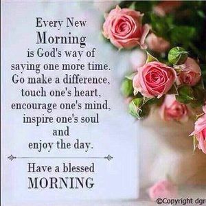 Meet your Posher, Nikisha